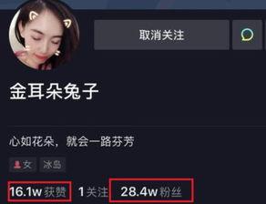 圈内人爆料娱乐圈的小说,娱乐圈幕后风云录 第1张 圈内人爆料娱乐圈的小说,娱乐圈幕后风云录 第1张